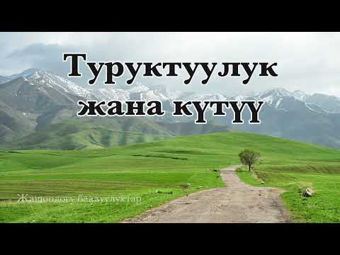 Видео: Туруктуулук жана күтүү
