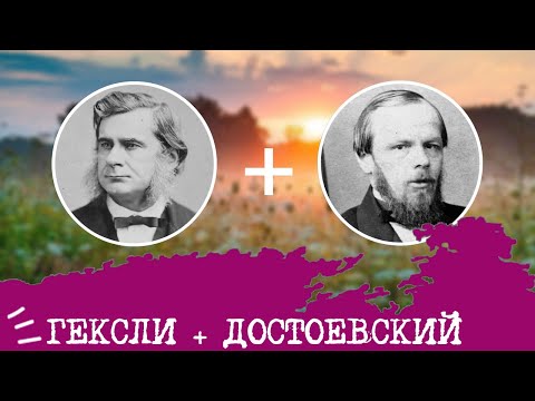 Видео: Гексли (ИЭЭ, ENFP) + Достоевский (ЭИИ, INFJ), анализ отношений