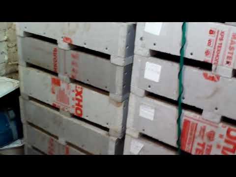 Видео: Бизнес на разведении Дэндробены венеты