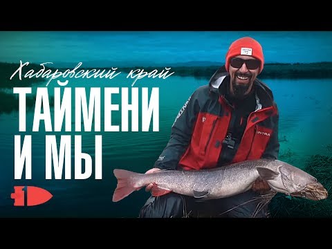 Видео: Таймени и мы | Андрей Старков | Хабаровский край