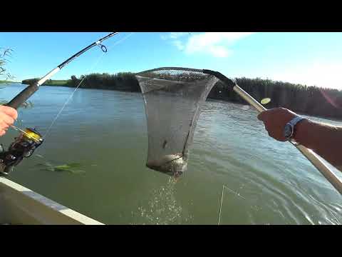 Видео: Супер рыбалка на Балхаше РОБ "Завидово" 06.07 - 08.07.2018