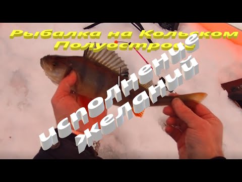 Видео: Рыбалка на Кольском Полуострове. Рыбалка на Пиренге.