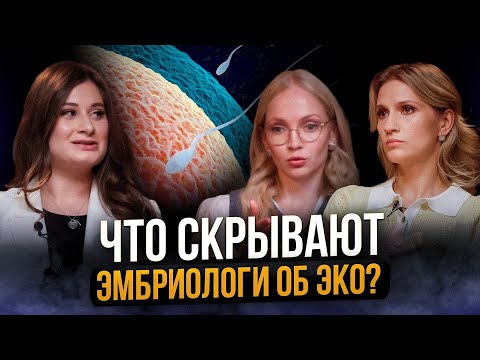 Видео: От чего зависит успех ЭКО: тайны эмбриологии