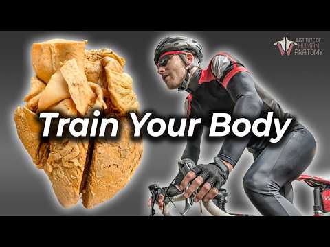 Видео: Единственная привычка, которая правит всеми остальными — это физические упражнения?