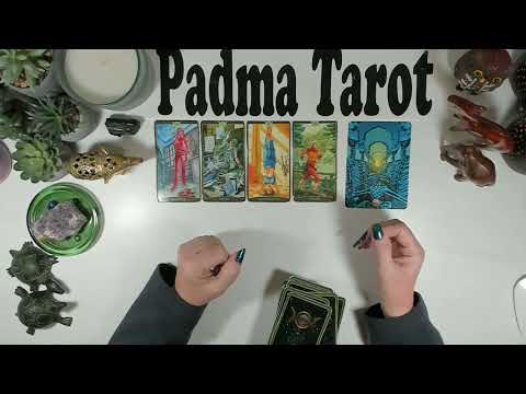 Видео: БЛИЗНЕЦЫ ♊️БЕРЕГИТЕ СЕБЯ! Бонусное гадание на картах Таро 💫🔮