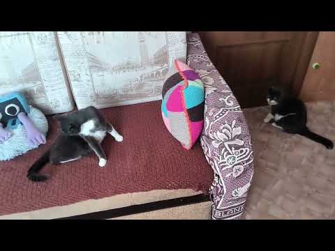 Видео: Крем воск для рук