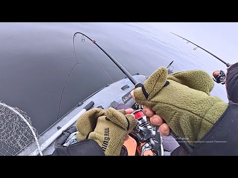 Видео: Стоянка АПАРАТІВ Знайдена / 2 Приманки зробили рибалку