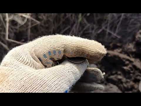 Видео: ВЕСЕННИЙ КОП2024! РАДОСТЬ И ПЕЧАЛЬ ОДНОГО ВЫЕЗДА!#копстарины #metaldetecting #коп2024 #металлокоп