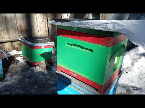 Видео: Первый облёт.