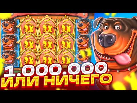 Видео: ЗАНОС НА 1.000.000 ИЛИ 0 В ДОГ ХАУС! СЛОВИЛ БОНУС ПО 2000Р НА ***X