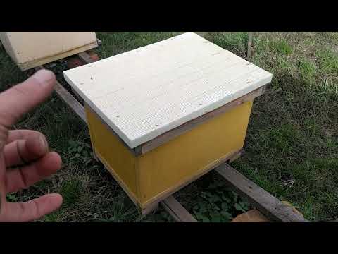 Видео: Вентиляція та утеплення бджіл на зиму. Варіанти в трьох типах вуликів.
