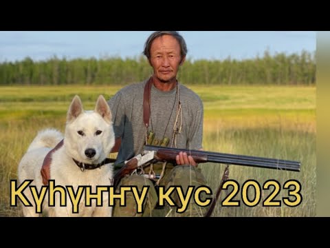 Видео: Күһүҥҥү кус 2023 с.