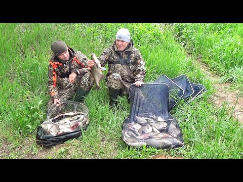 Видео: ЛЕЩ НА ФИДЕР.