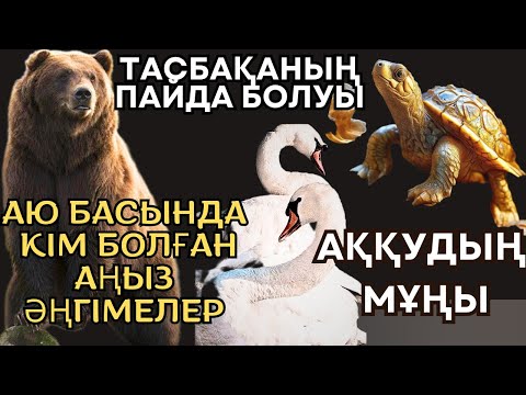 Видео: ТАСБАҚА ҚАЛАЙ ПАЙДА БОЛДЫ? АҚҚУДЫҢ ҚАНДАЙ МҰҢЫ БАР?АЮ НЕГЕ БАЛҒА ҚҰМАР ?