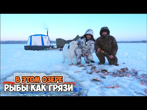 Видео: ПРОСНУЛИСЬ НА ЛЬДУ И ПОНЕСЛАСЬ ЖАРА \ ТУНДРОВОЕ ОЗЕРО НЕ ПЕРСТАЁТ УДИВЛЯТЬ
