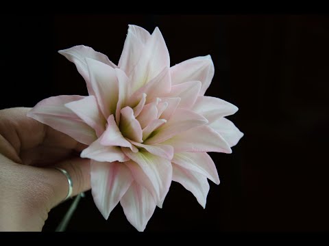 Видео: Лилия Дабл Плеже из холодного фарфора. МК Анны Крахиной.