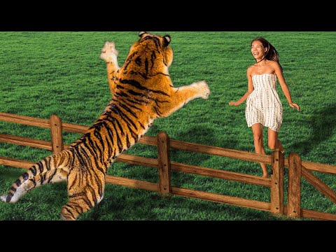 Видео: Сможешь Не ЗАПЛАКАТЬ? 😥 Топ 30 Моментов Встречи Животных с Владельцами После Долгих Лет Разлуки