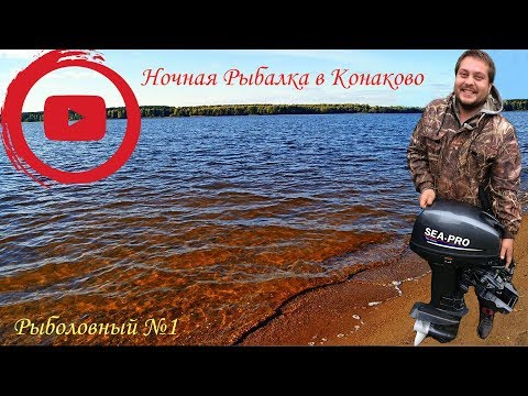 Видео: Рыбалка в Конаково! Ловим стерлядь на червя 😃  Тверская область.