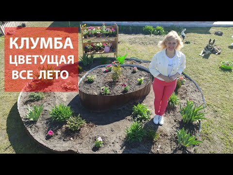 Видео: Самая красивая многоярусная клумба непрерывного цветения