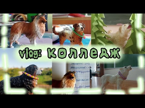 Видео: schleich vlog: жизнь шляйх блогера студента первого курса💚