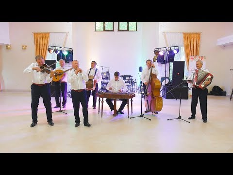 Видео: Настасівські музики на весіллі Андрія і Наталі!!! ПАБ Бровар 2018