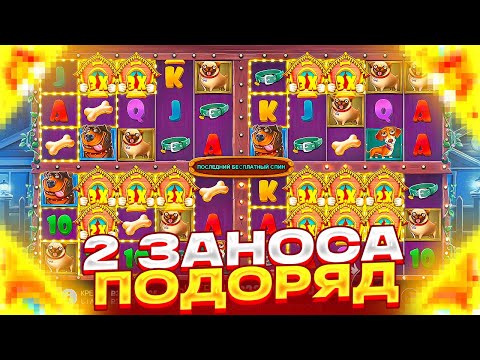 Видео: ПОЙМАЛ 2 ЗАНОСА ПОДРЯД В DOG HOUSE MULTIHOLD! ПОЙМАЛ БОНУС ПО ***Р И ЗАКРЫЛ СИНИХ СОБАК