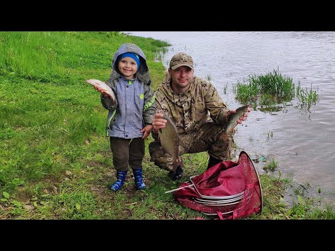 Видео: #Рыбалка на Оке с семьей#Ока#Донки#Фидер#Лещ#Плотва