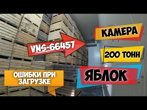 Видео: Загрузка камеры яблоками | Как хранят яблоки | Ошибки при загрузке