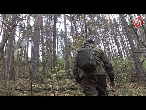 Видео: Тайное место. В Ульяновской области обнаружили чурбаки, которым 50 миллионов лет