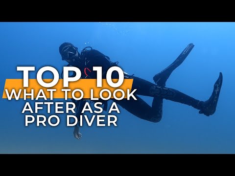 Видео: Хотите стать профессионалом в дайвинге? Делайте ЭТО с самого начала вместе с @divevolkdivingassis...