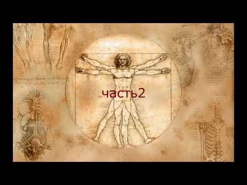 Видео: Соединительная ткань: ретикулярная, жировая, пигментная, хрящевая и костная