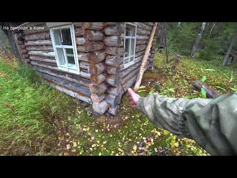 Видео: Тяжёлый путь к избушке пройден, здравствуй изба! Надо поймать хариуса на ужин. 2 серия