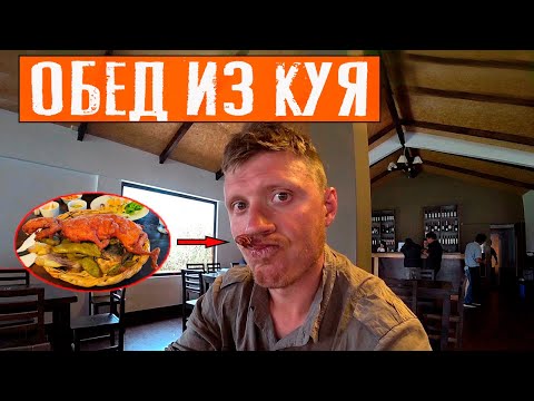 Видео: Перуанская кухня: Блюдо из куя | В гостях у мэра | Путешествие по Перу | #10