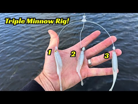Видео: Тройная оснастка Minnow! Она такая же реалистичная, как косяк мелкой рыбы!