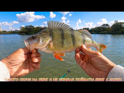 Видео: Окунь на джиг. Чем ярче солнце тем лучше клёв!