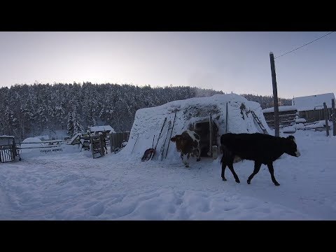 Видео: ЯКУТСКАЯ ДЕРЕВНЯ ТЕХТЮР. 22.02.2019. (Одно из первых видео, болтовню можно пропустить, 4 мин)