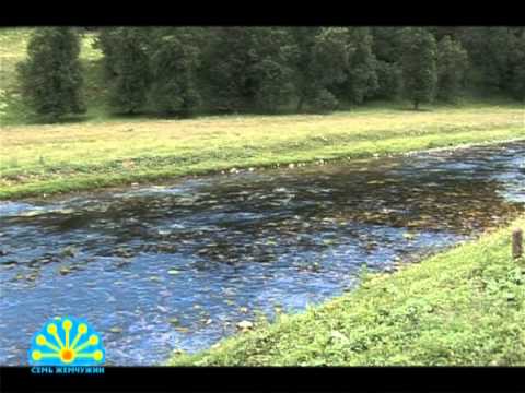 Видео: Республика Башкортостан. Источник "Сарва"