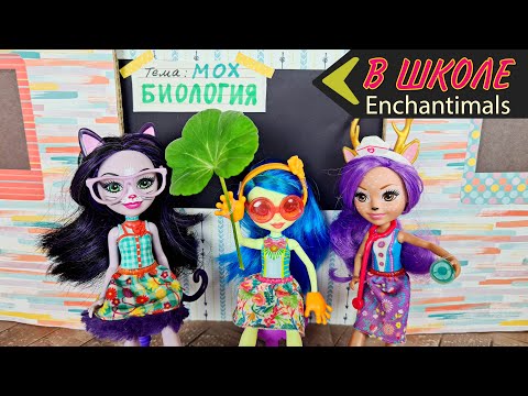 Видео: Энчантималс на уроке Биологии!🍀Мультик"От грибка до хлопка"😂СУПЕР ВЫПУСК 2❗❗❗Школьные интриги.