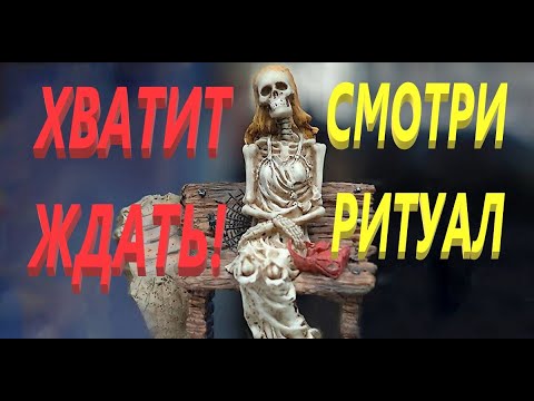 Видео: ПРИНЦ на белом КОНЕ примчится к помолодевшей КРАСАВИЦЕ! МЕСТО СИЛЫ  РИТУАЛ ОНЛАЙН