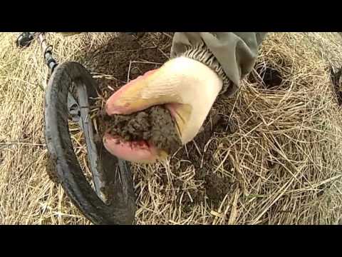 Видео: Поиск монет с теркой 705 и 505 ,часть вторая. Поле чудес!!!