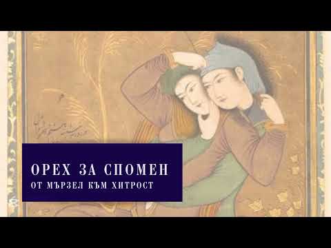 Видео: Как да трансформираме мързела? I Приказката "Орех за спомен"