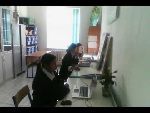 Видео: тест олимпиада