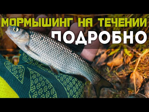 Видео: РАСКРЫВАЮ СЕКРЕТЫ! Как поймать ОКУНЯ и ГОЛАВЛЯ на быстрой воде? #мормышинг, который работает!