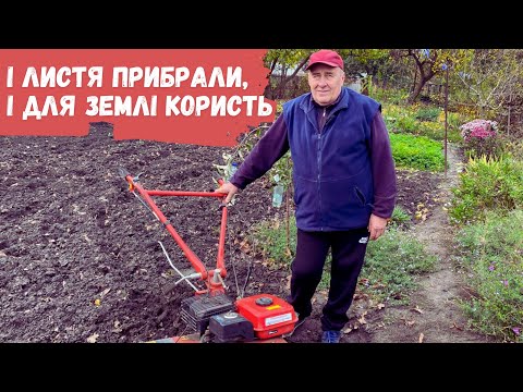 Видео: І листя прибрали, і для землі користь👍