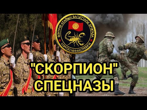 Видео: "СКОРПИОН" АТАЙЫН багыттагы БРИГАДАСЫНА 30 ЖЫЛ