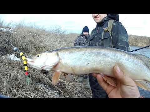 Видео: УпаОФФроуд.Рыбалка на упе. Щучки на месте.