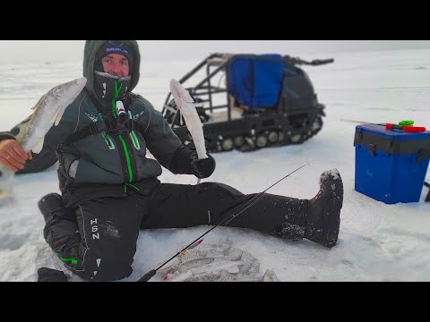 Видео: УДОЧКА В ДУГУ!!! ПОПАЛ НА ХАПОК И ЖОР СУДАКА на Оби, водохранилище. Зимняя ловля судака на блëсна