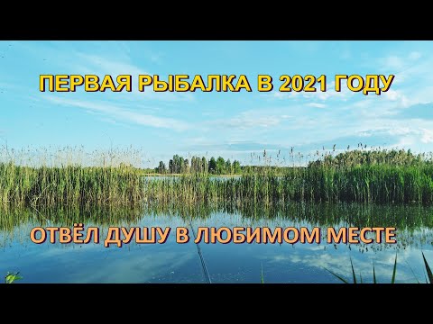 Видео: НАЛОВИЛ КУЧУ рыбы на Усяжских торфяниках | Первая рыбалка в этом сезоне | Рыбалка в Беларуси 2021