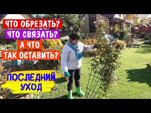 Видео: 25 октября 2024г. РЕЖУ ВСЁ! Не умеете? Присоединяйтесь! Научу!