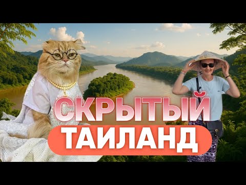 Видео: ТАИЛАНД для психов: КОТ-БУДДИСТ. Река МЕКОНГ, регион ИСАН
